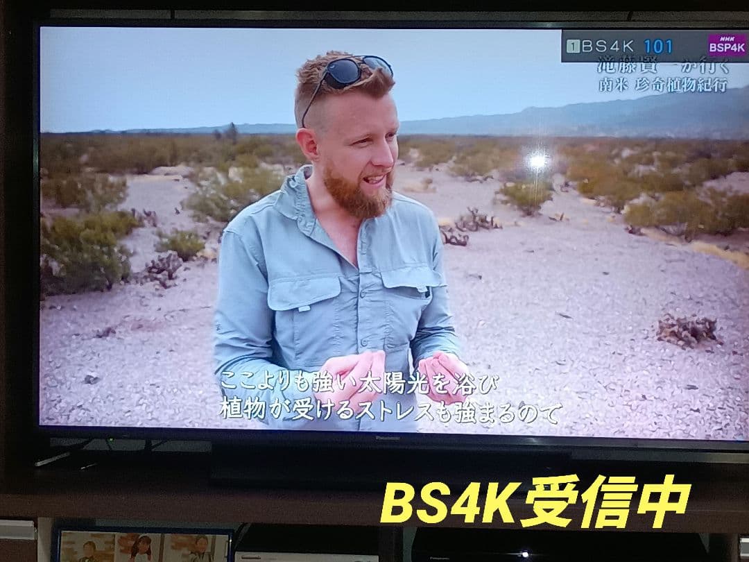 パナソニック 49V型 4K テレビ 　　　TH-49GX855