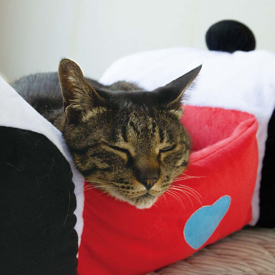 8日迄★ felissimo YOU+MORE! / cat bed（panda
