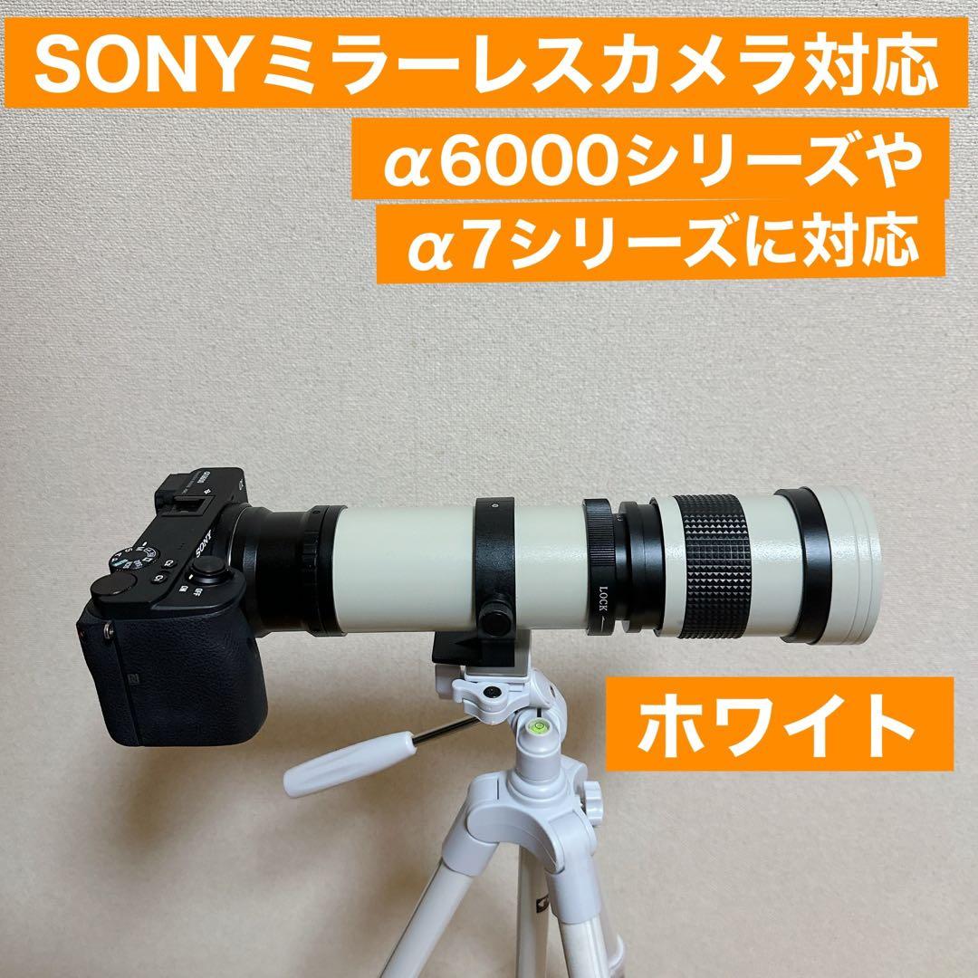 SONY ミラーレス用 超望遠レンズ　サードパーティ製　初心者でもOK サポート