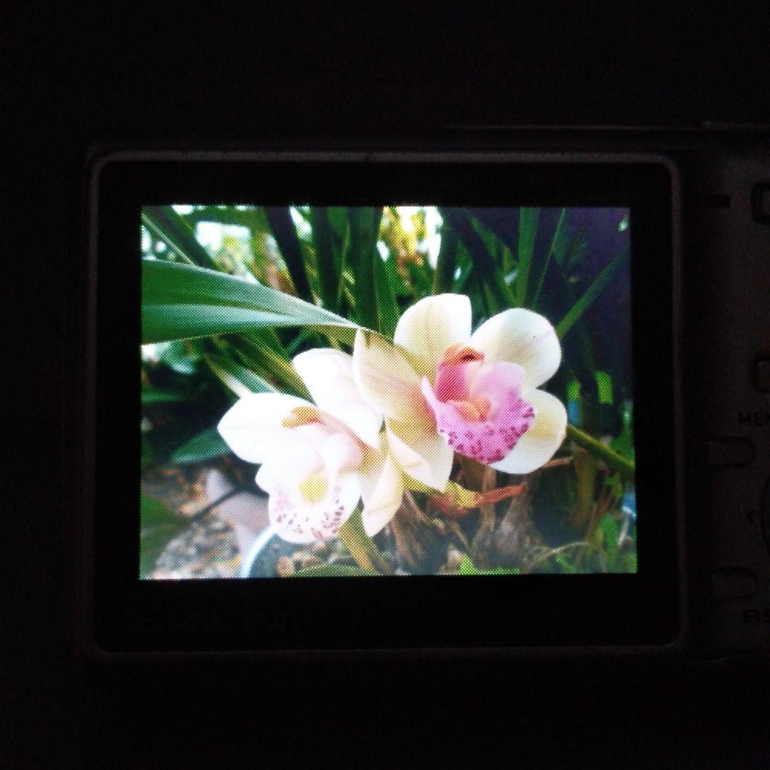 CASIO EXILIM EX-Z60　シルバー