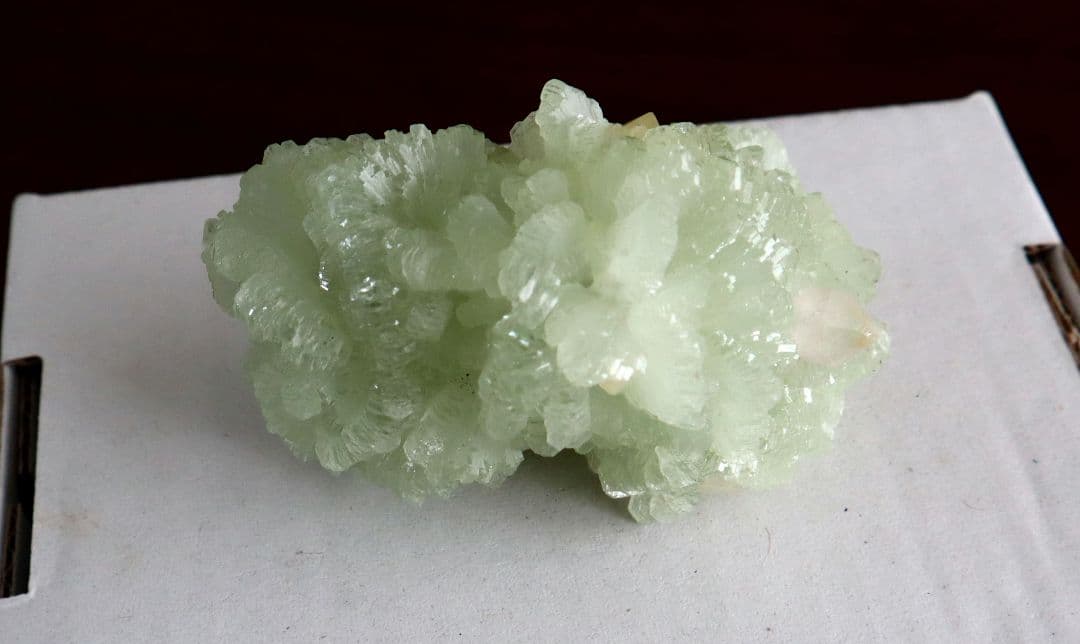 モロッコ産 Prehnite Quartz 共生標本　水晶　葡萄石