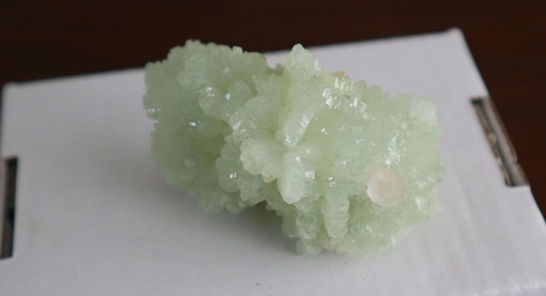 モロッコ産 Prehnite Quartz 共生標本　水晶　葡萄石