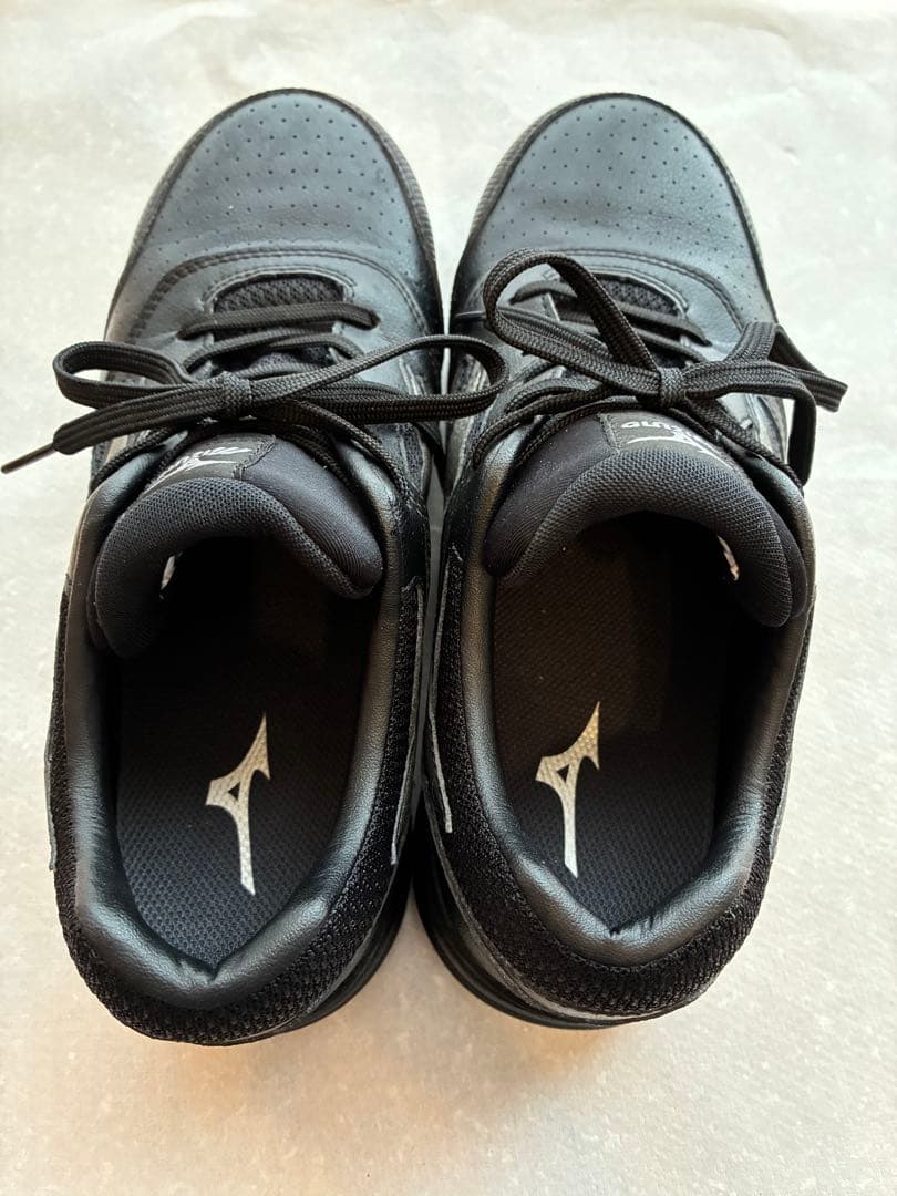 MIZUNO 安全靴　25㎝　ブラック　軽量 LSII 11L JSAA