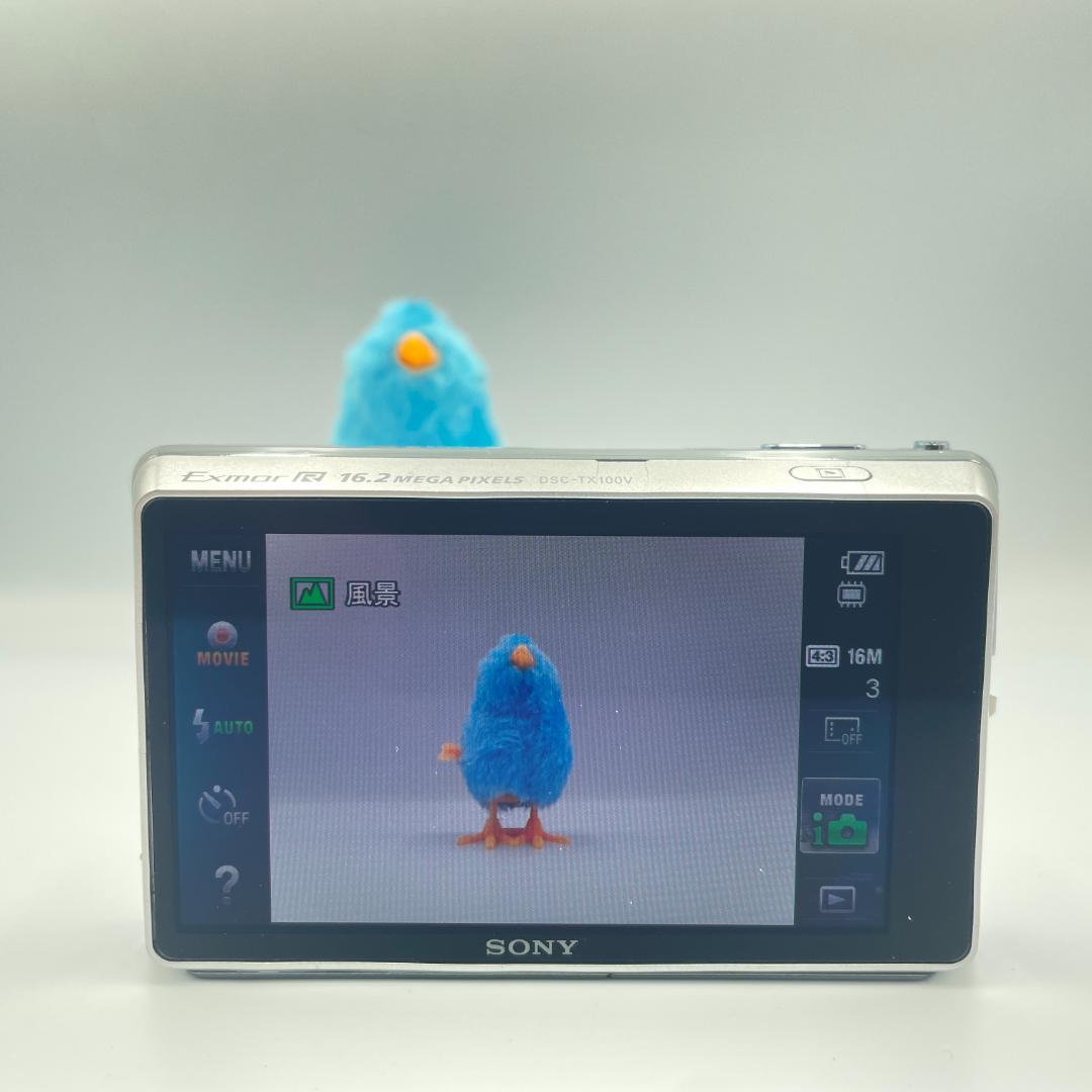 【動作品・転送特典無料あり】SONY cyber-shot DSC-TX100V