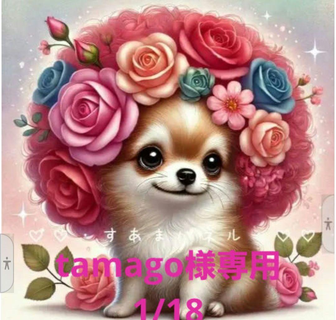 tamago様御確認用♪