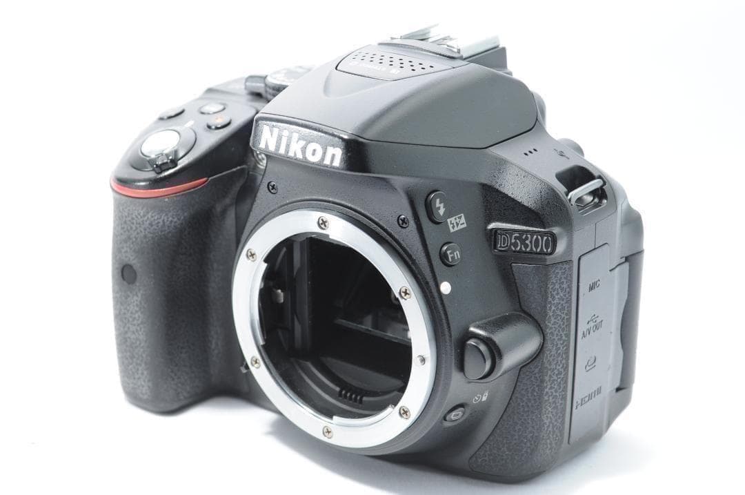 ✨️Nikon D5300✨Wi-Fiでスマホ転送 手ぶれ補正レンズ 初心者