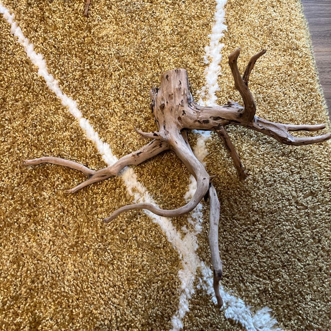 水槽用流木セット