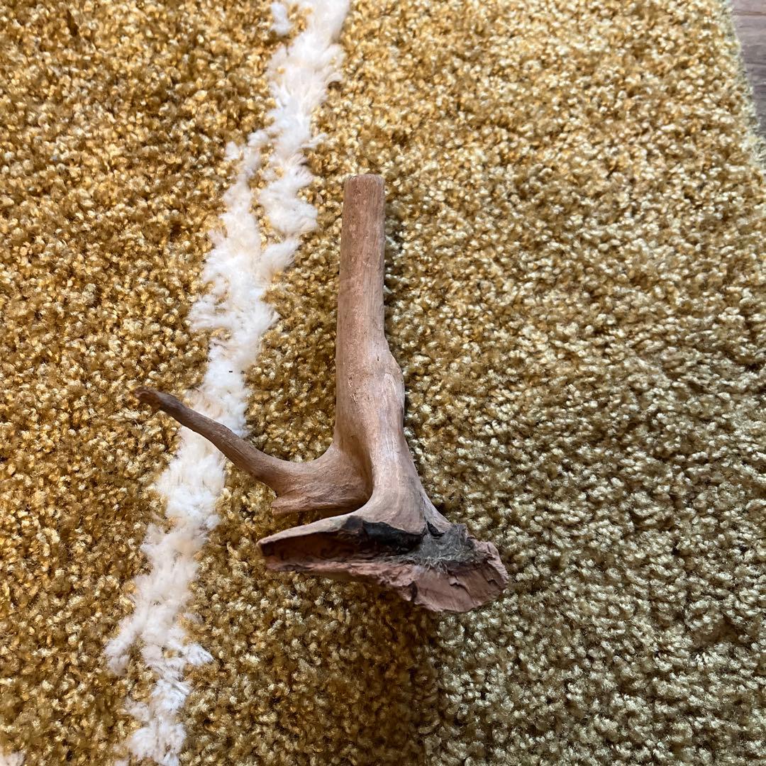 水槽用流木セット