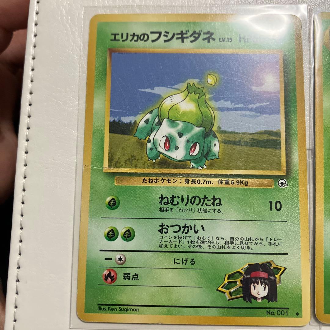 エリカのフシギダネ フシギソウ フシギバナ　進化ライン　旧裏