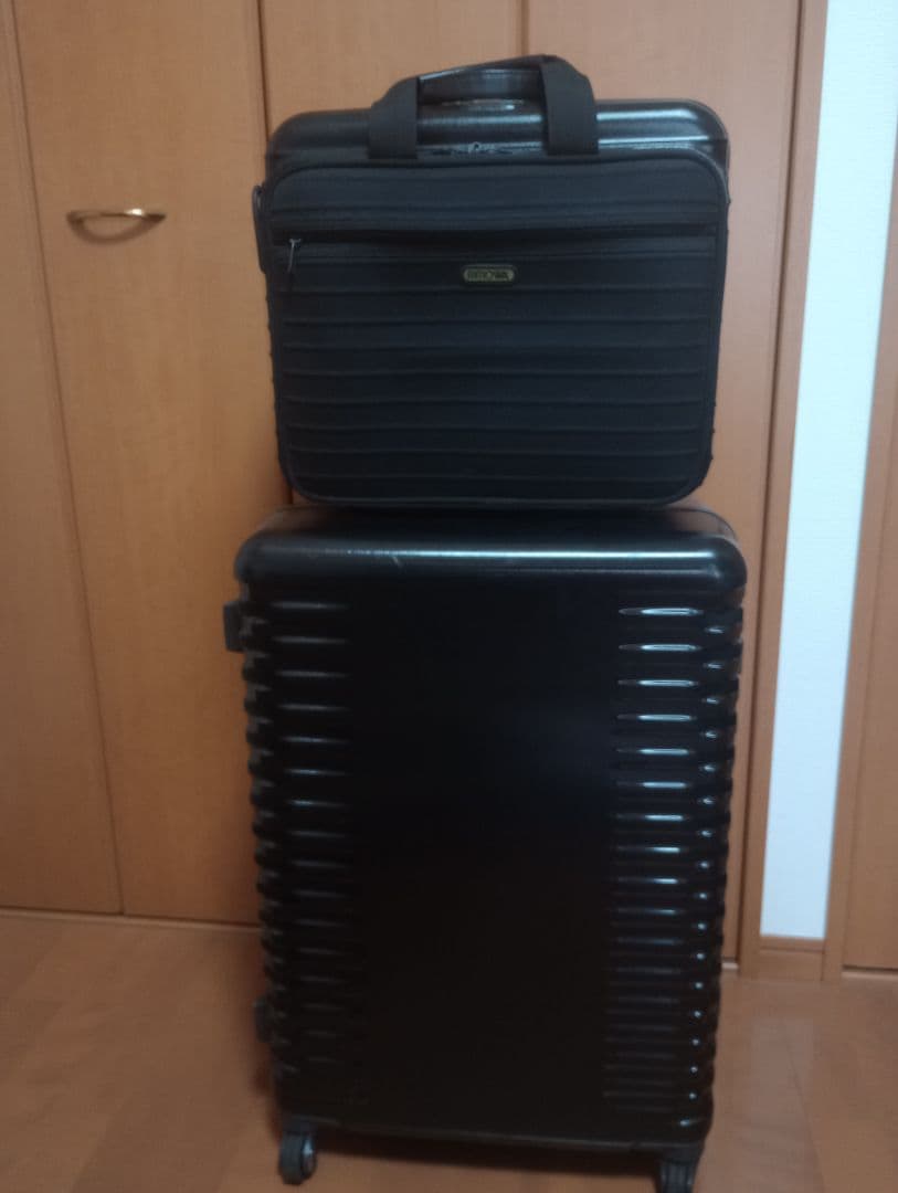 【激レア・美品】Rimowa Salsa Deluxe Travel Bag