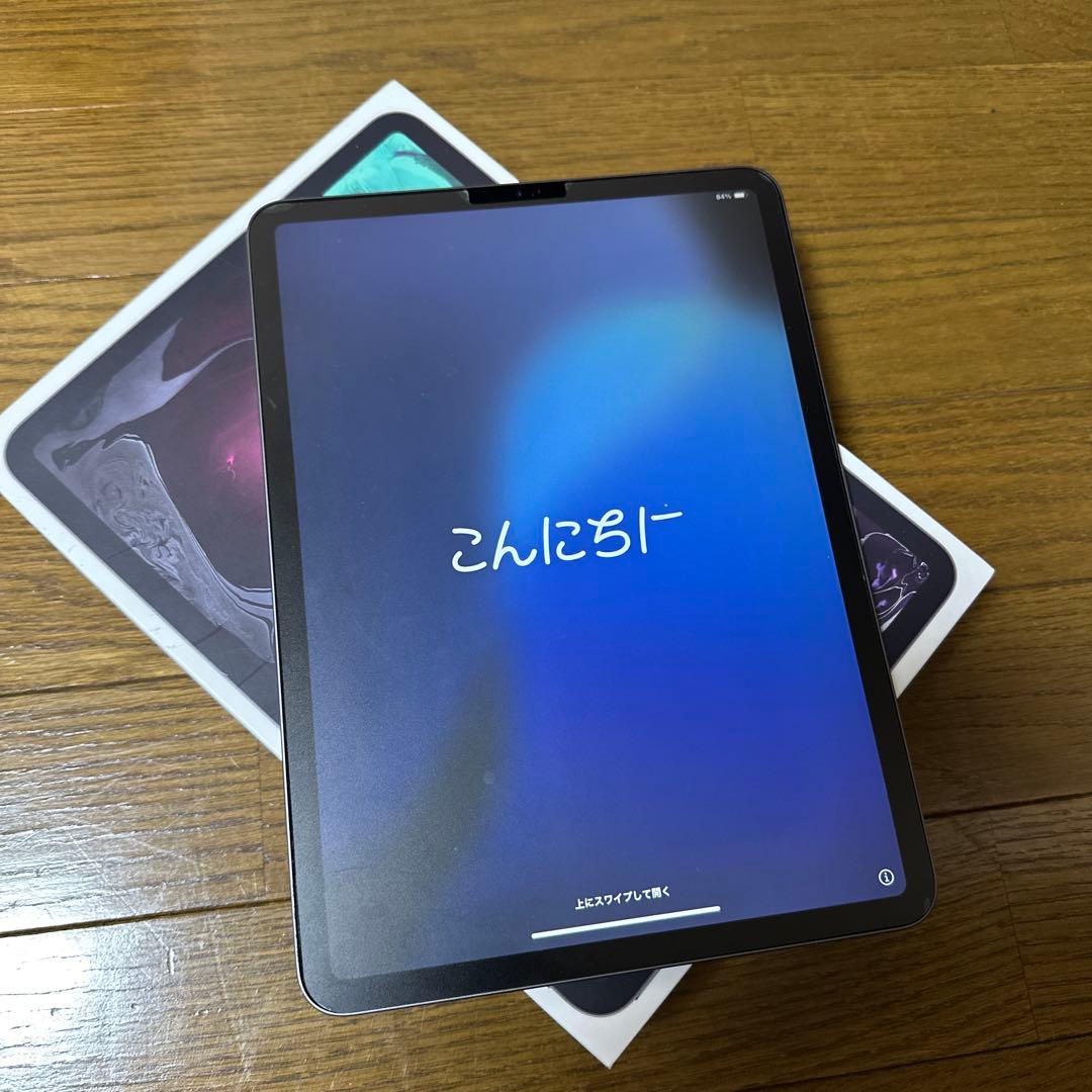 iPad Pro 第一世代（11-inch）本体 充電器付き