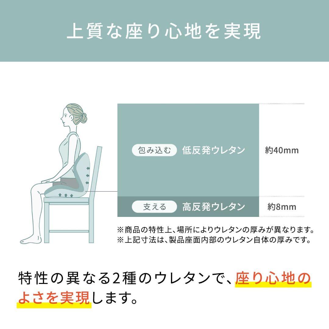 StyIe PREMIUM/スタイルプレミアム/ブラウン/骨盤矯正