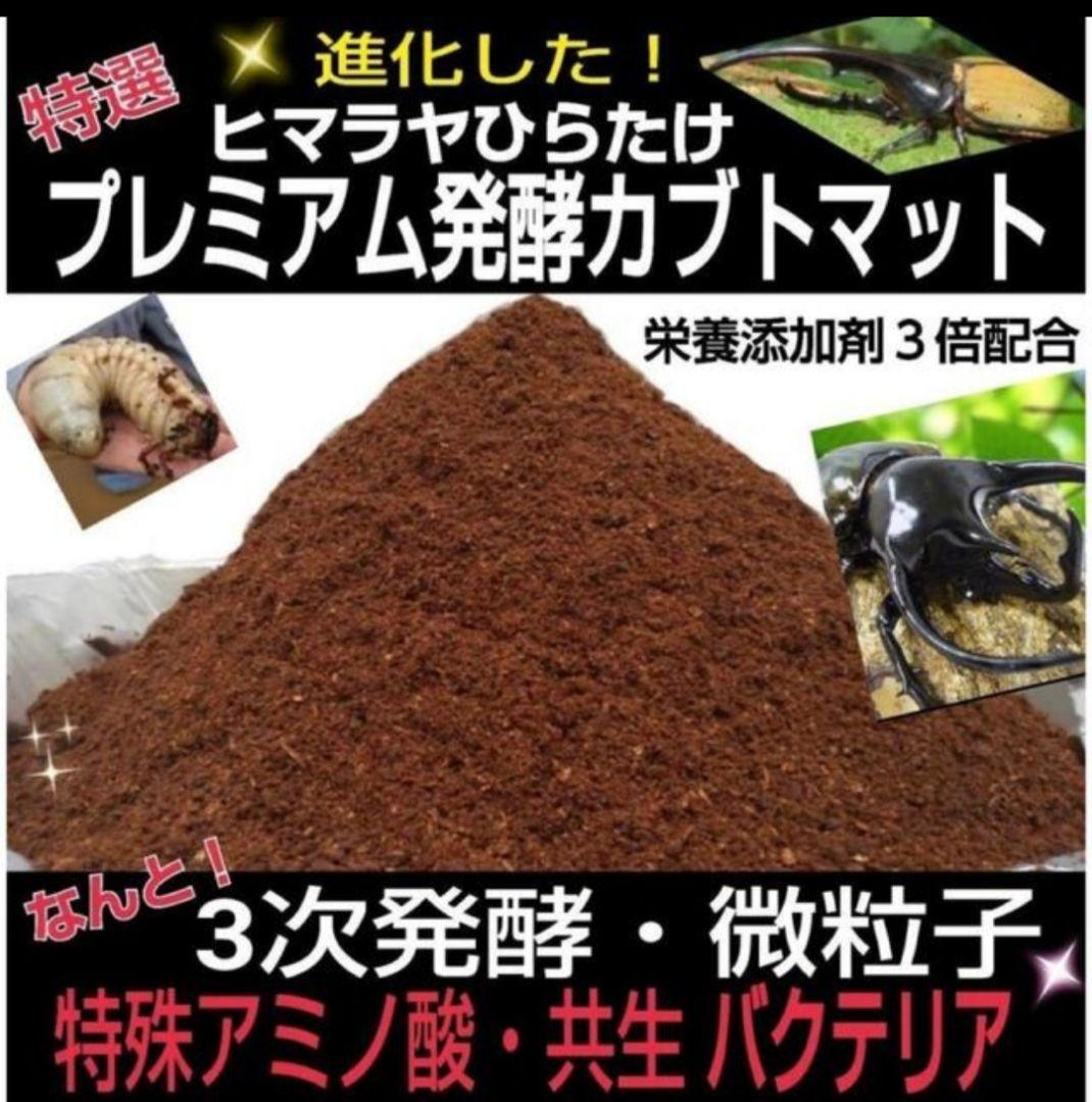 ヘラクレスが大きくなります！プレミアム3次発酵マット【60L】180ミリ羽化実績