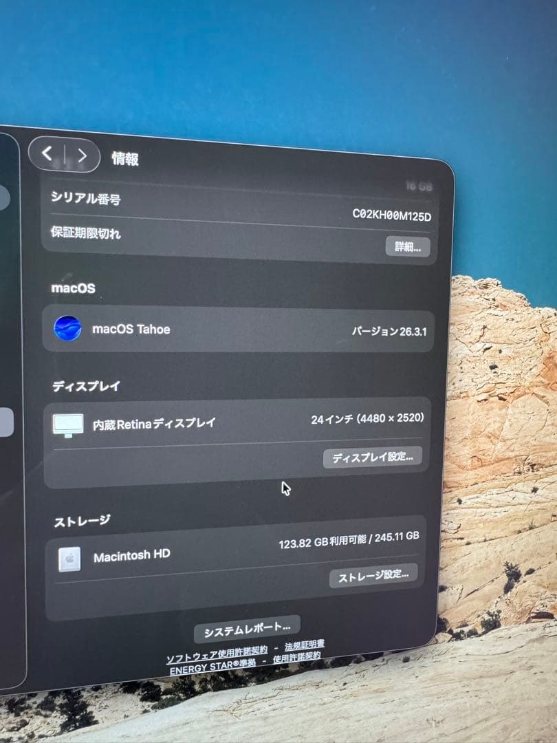 【美品】Apple iMac 24インチ 256GB グリーン メモリ16GB