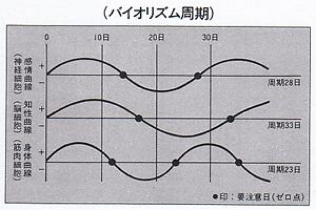 【稀少品！残り1個！】政木式バイオリズム計　工学博士　政木和三　占い　開運　健康