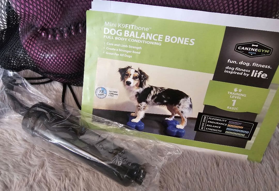 ミニK9FITボーン 犬用リハビリ バランス 体幹アップ