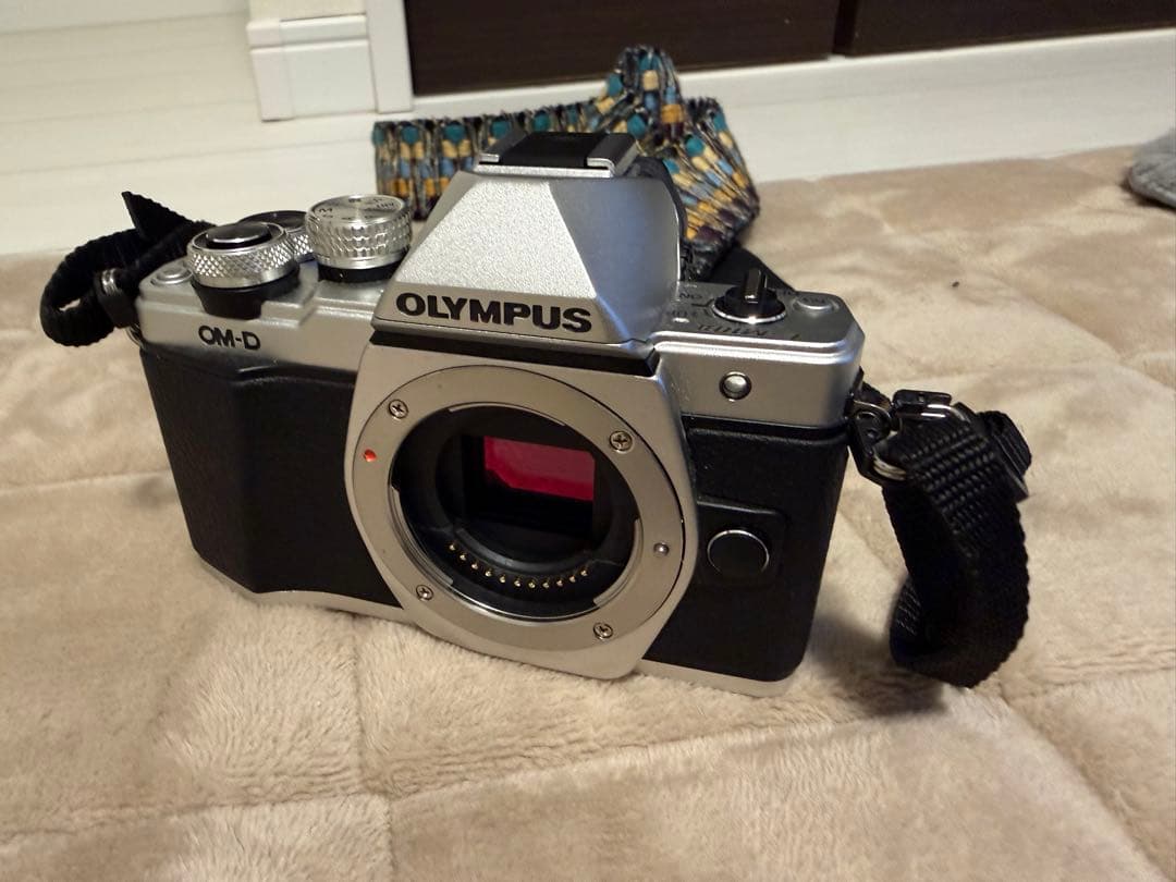 OLYMPUS OM-D ミラーレス一眼カメラ