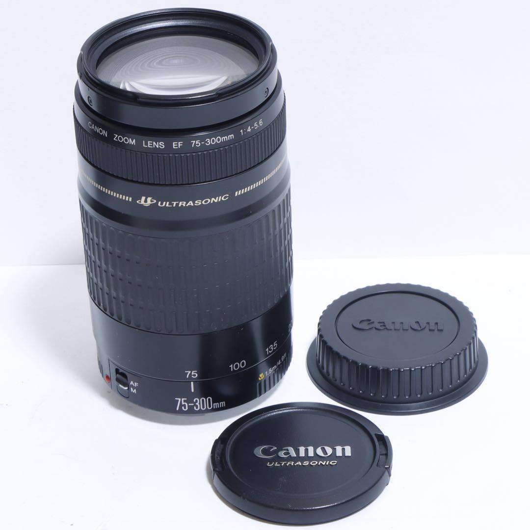 ◇超望遠&高速AF◇ Canon純正 75-300mm I型 望遠レンズ ◇