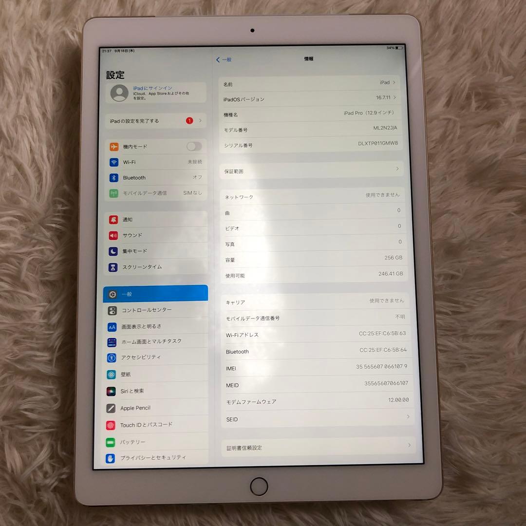 【9/22販売終了】iPad Pro 12.9 256GB SIMフリー