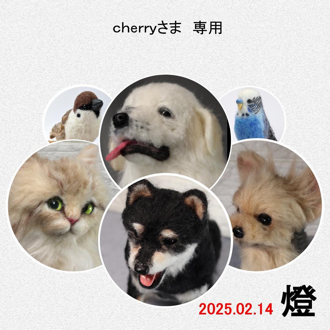 cherryさま専用　羊毛フェルト　犬　チワワ　フレーム　オーダー
