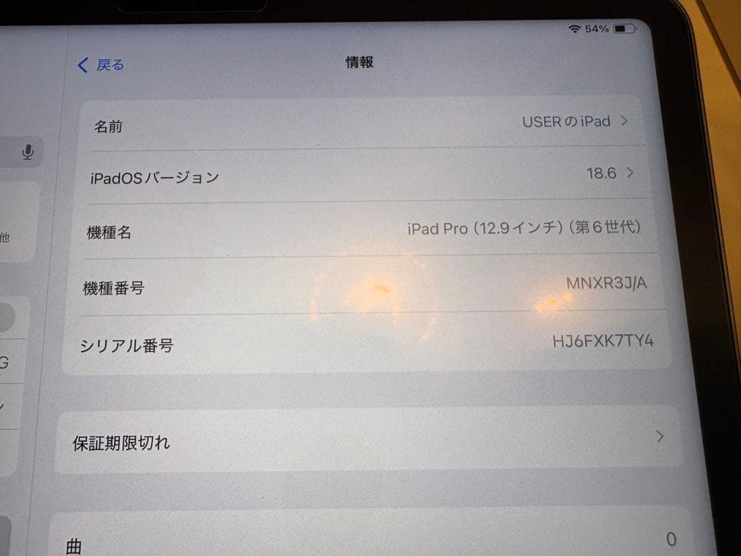 【虎様】iPad Pro 12.9 (第6世代) 256GB