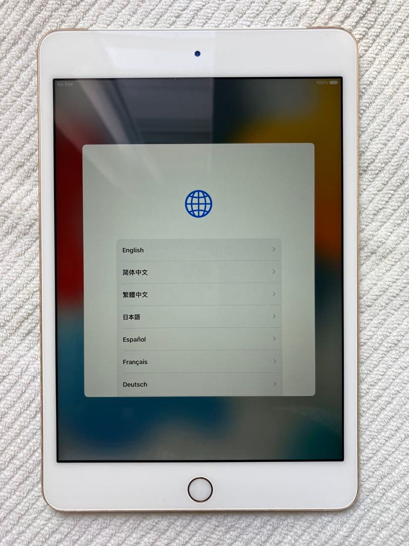iPad本体 Apple iPad mini 4 64GB Wi-Fi+cellular