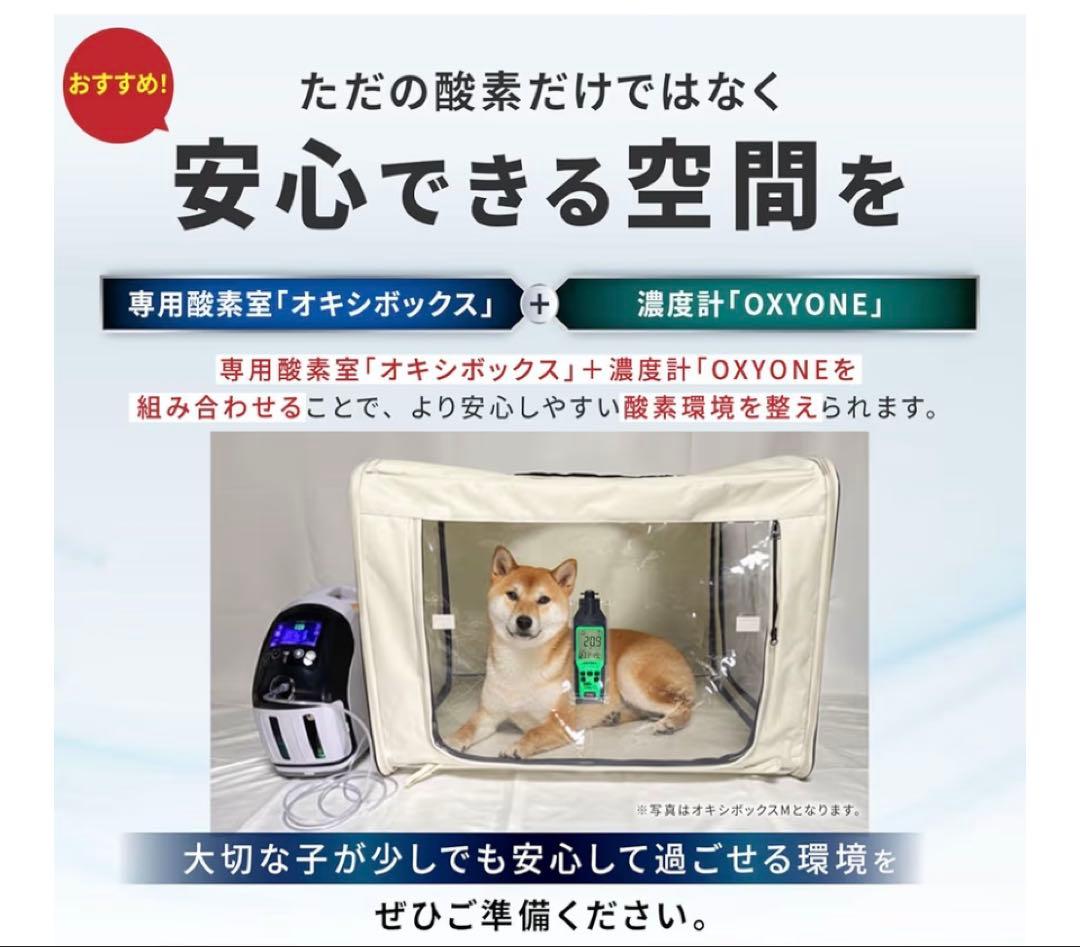 酸素濃度計 OXYONE