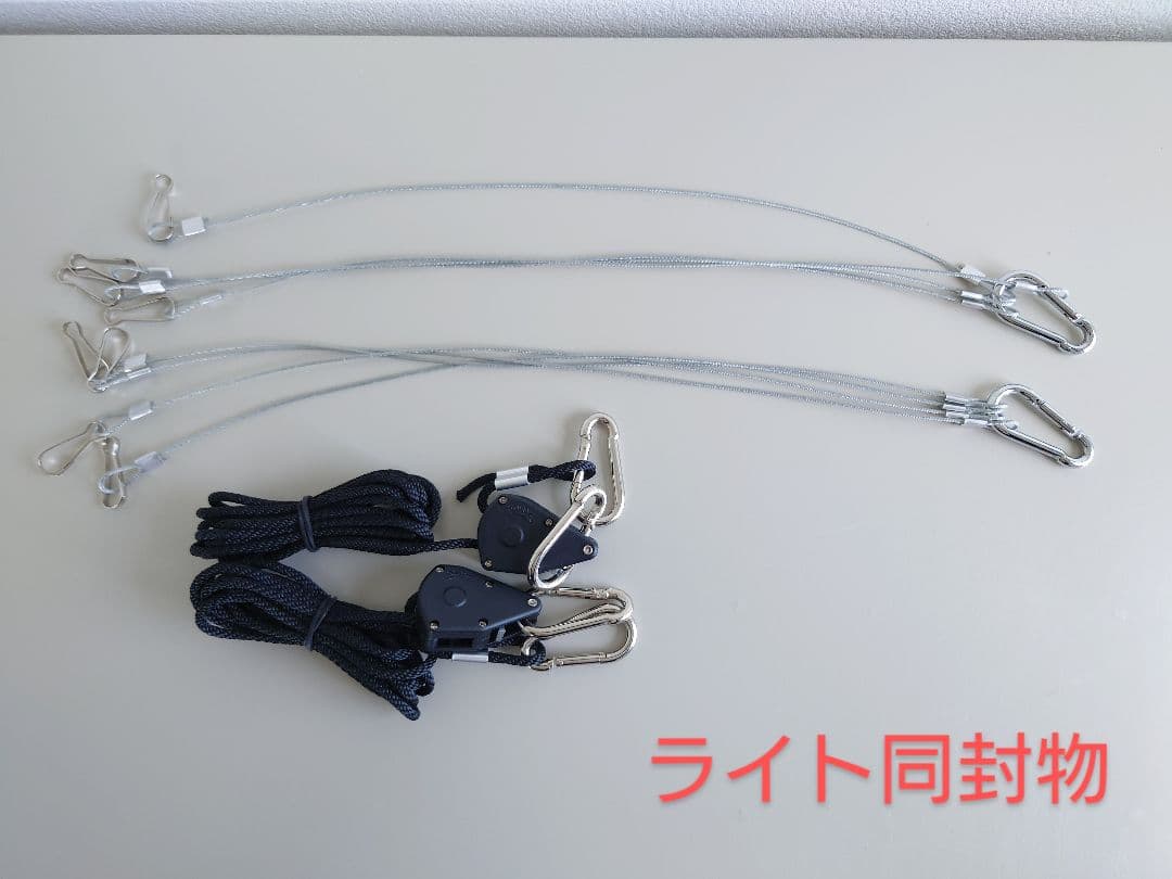 観葉植物初心者応援セット