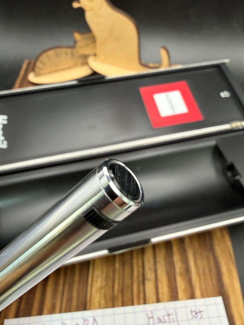 AURORA 万年筆 Hastil アスティル レアケース付 M