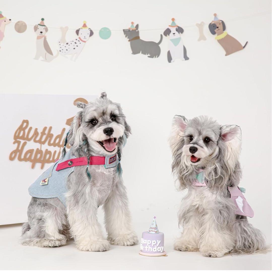 ベルクロデニム犬用ハーネス（小型犬用）窒息防止犬用ベストハーネス