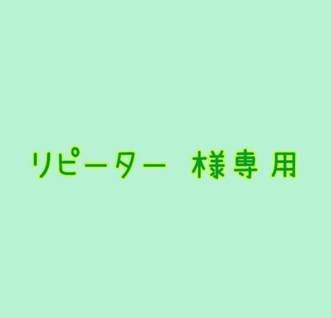 ㊵リピーターさま専用✨