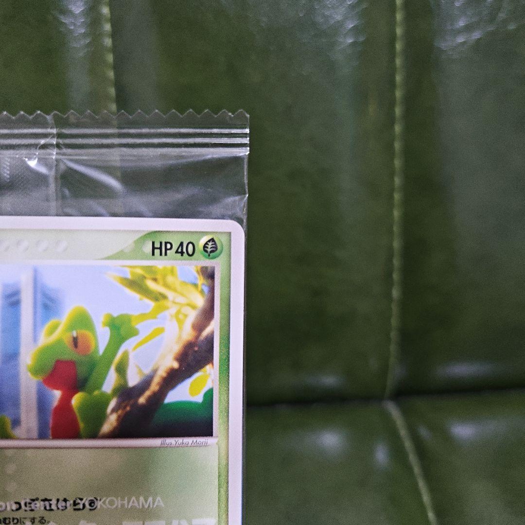 K*o様 ポケモンカード キモリ プロモカード ポケモンセンターヨコハマオープン