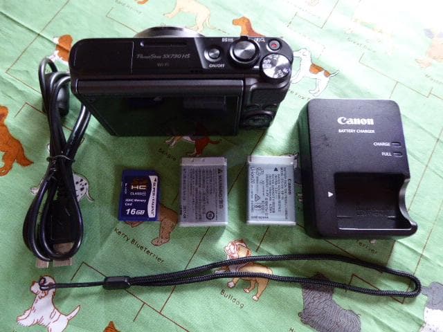 訳ありCanonSX730HS