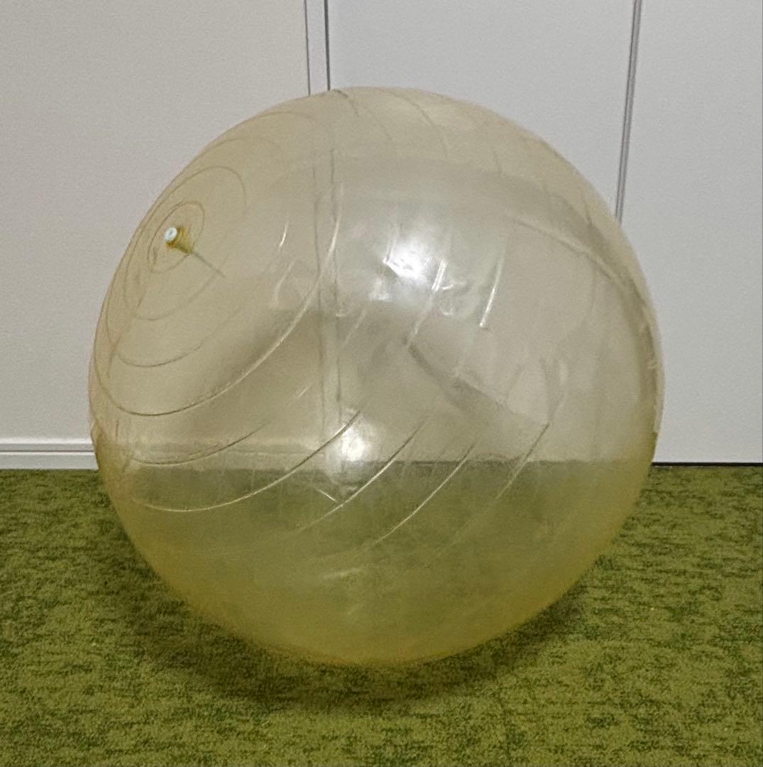 gymnic Opti Ball 65cm バランスボール