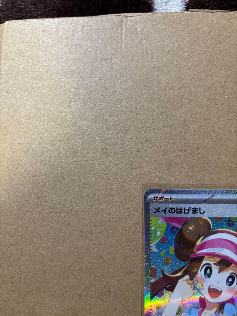 ダ*魚様 メイのはげまし　SAR 極美品