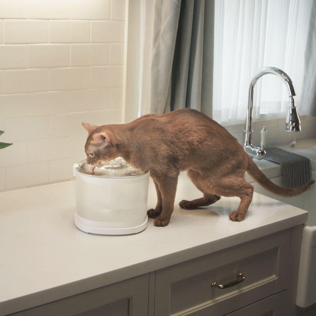猫用自動給水器 エルフィンE1+ 交換フィルター10枚付
