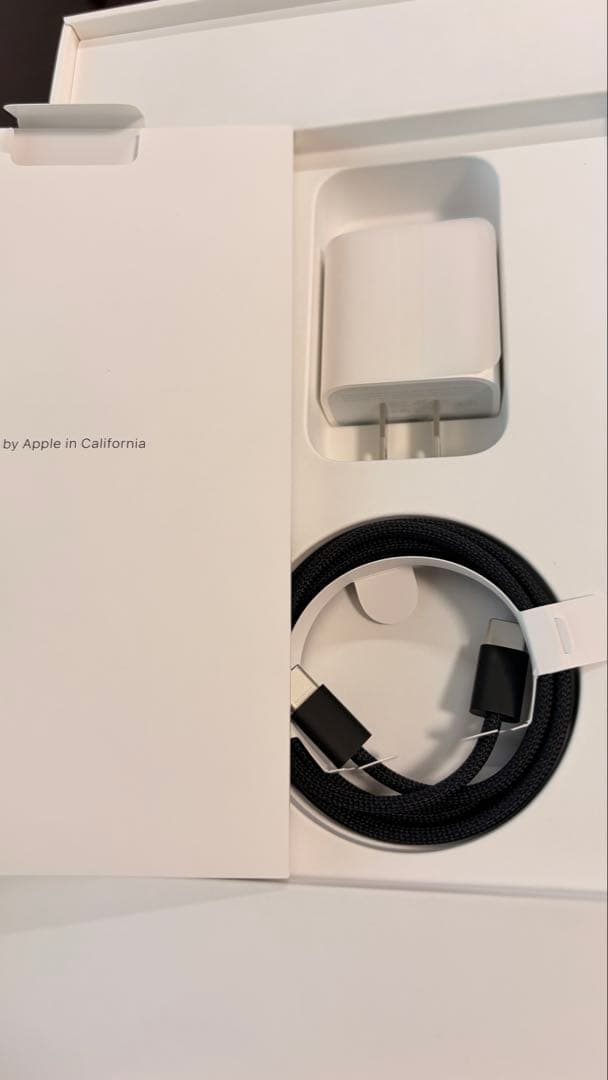 iPad本体 APPLE iPad Pro M4 2024 1TB wi-fi