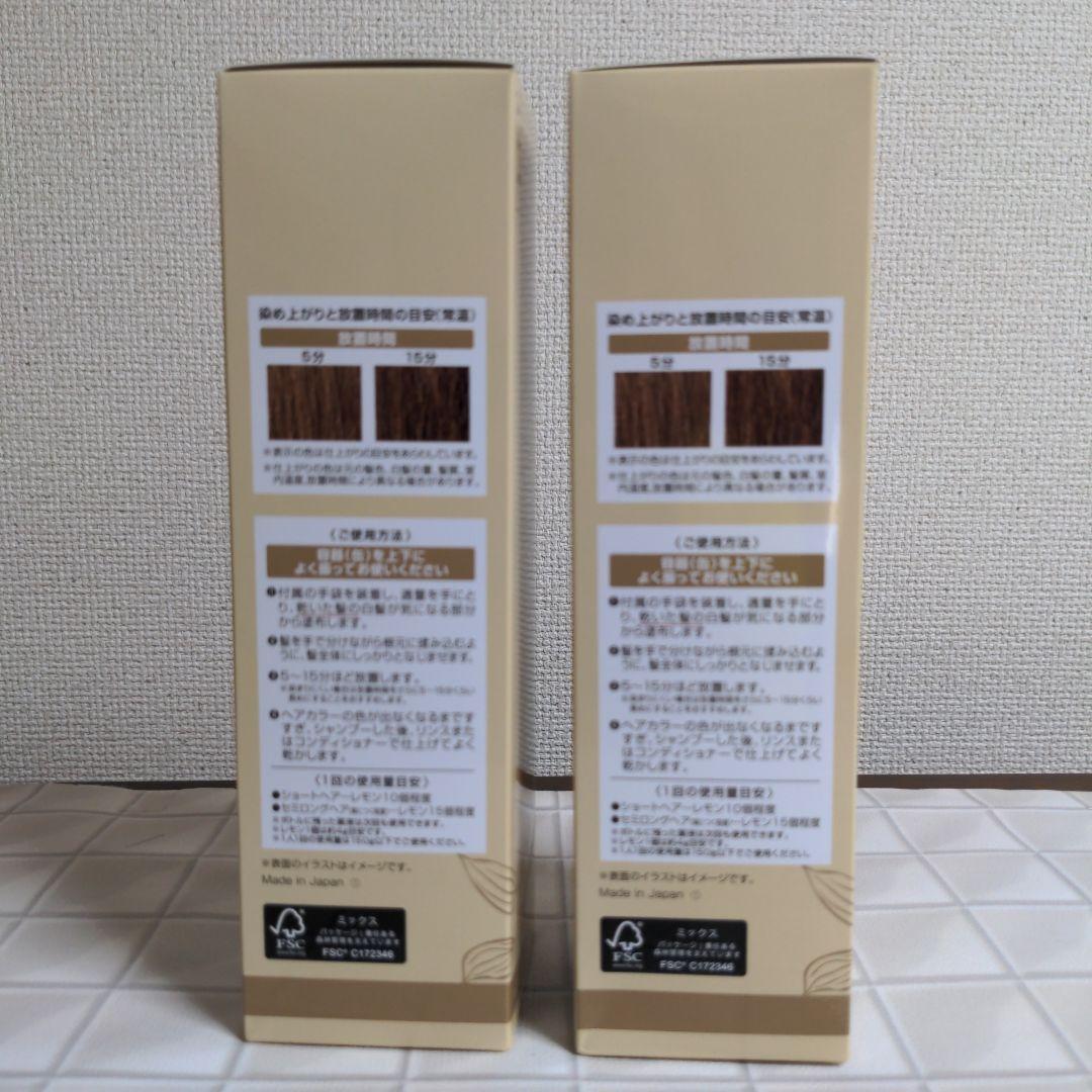 ÉCLAT ボタニカルカラーリングフォーム ライトブラウン 150g