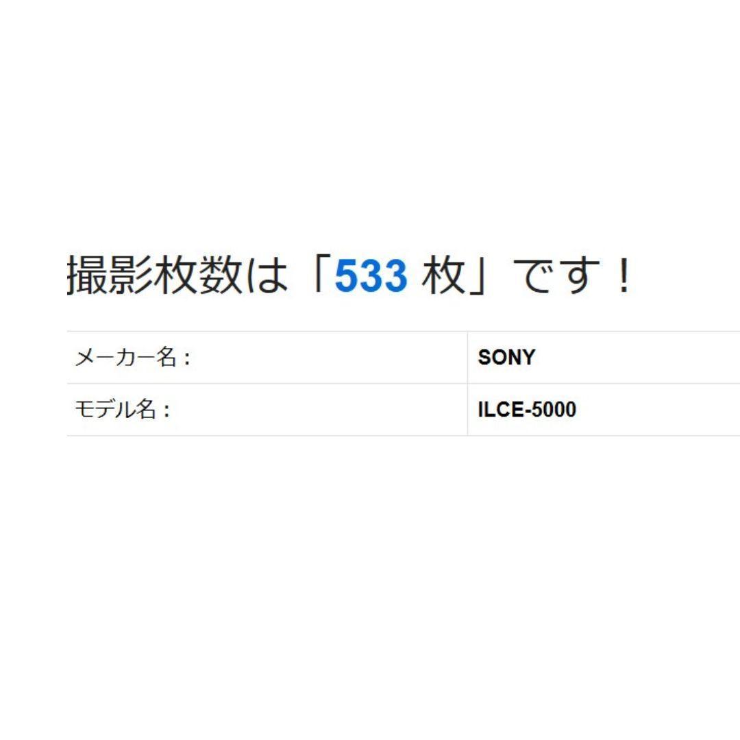 ❤即購入1000円OFF❤美品❤ ソニー α5000 Wi-Fi 手振れ補正