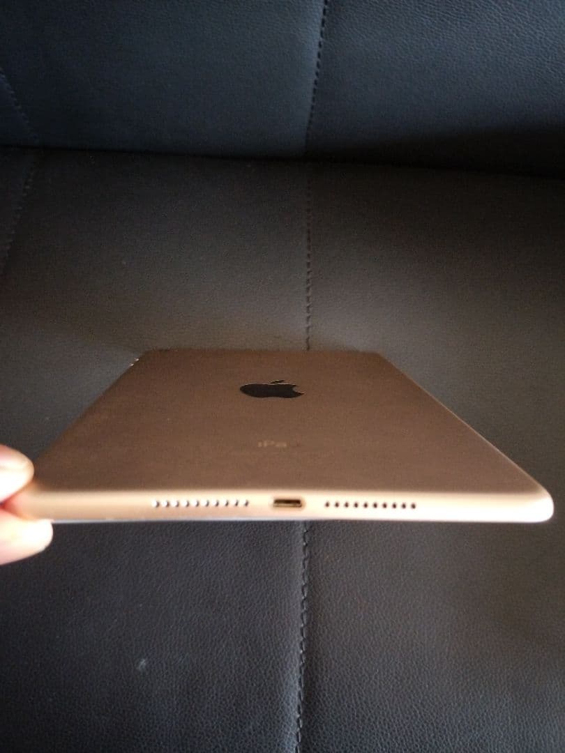 可*3様 iPad mini 4 ゴールド 64GB Wi-Fiモデル
