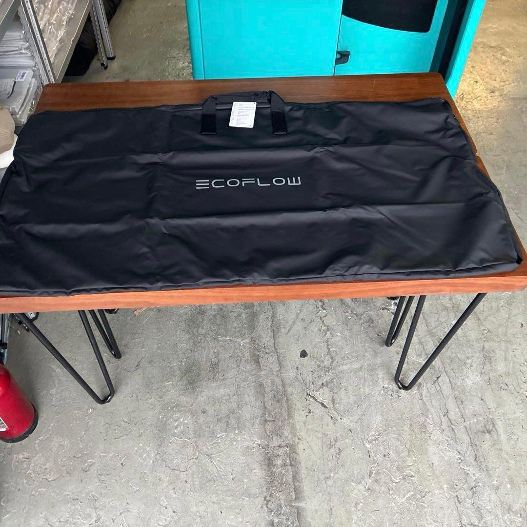 EcoFlow 125W 2枚セット 両面 ソーラーパネル 専用カバー付き