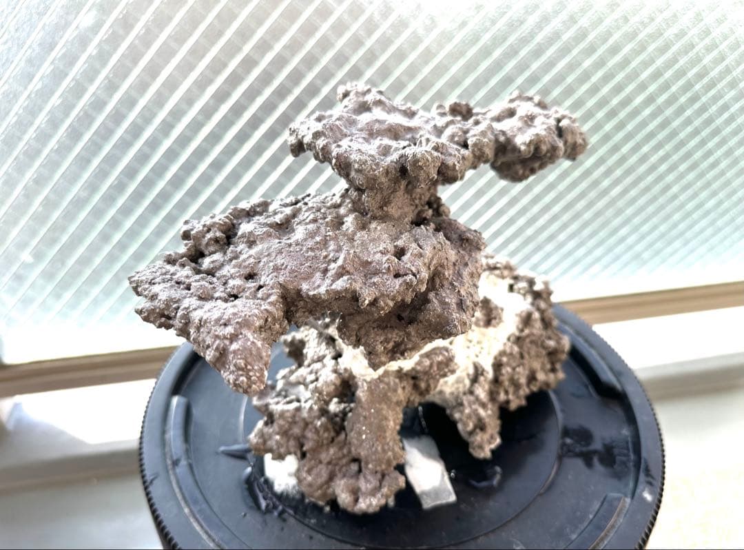 水槽用人工ライブロック自然形状接合品