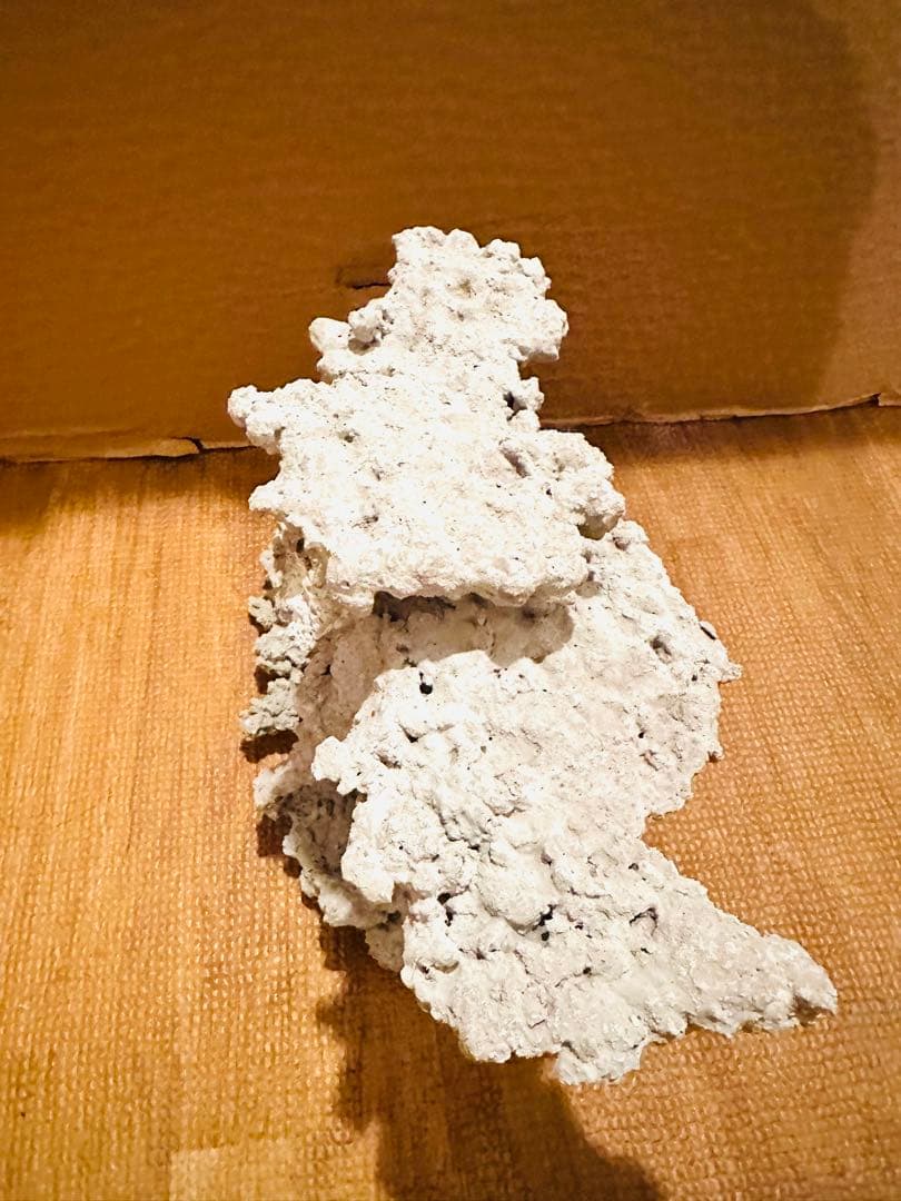 水槽用人工ライブロック自然形状接合品