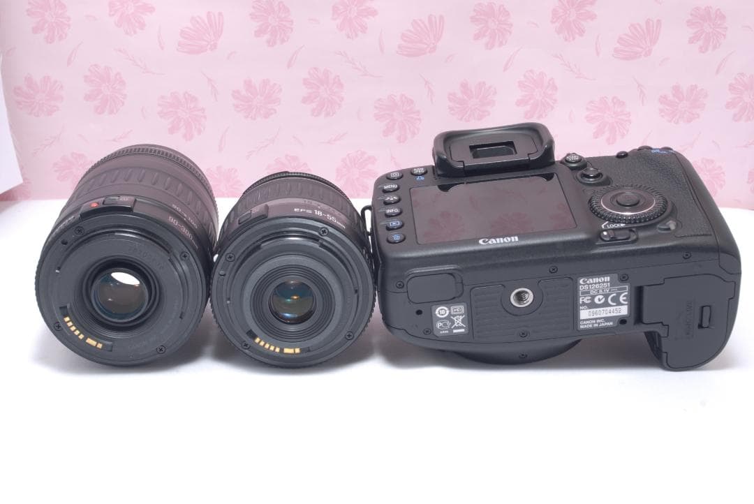 ⭐️望遠レンズセット⭐️Canon EOS　7D キャノン　デジタル一眼レフ