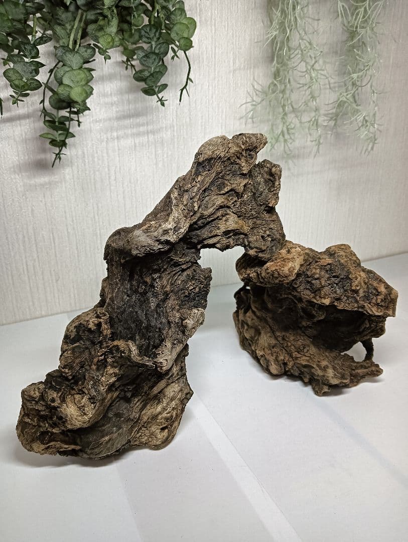 流木535　沈水確認済　アク抜き済　マシンガンウッド　美品　アクアリウム