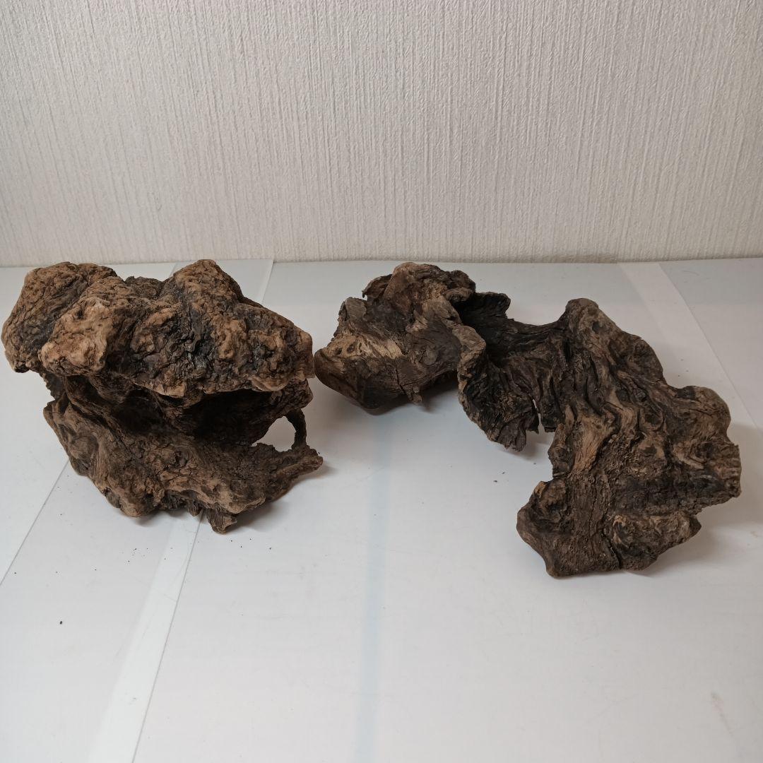 流木535　沈水確認済　アク抜き済　マシンガンウッド　美品　アクアリウム