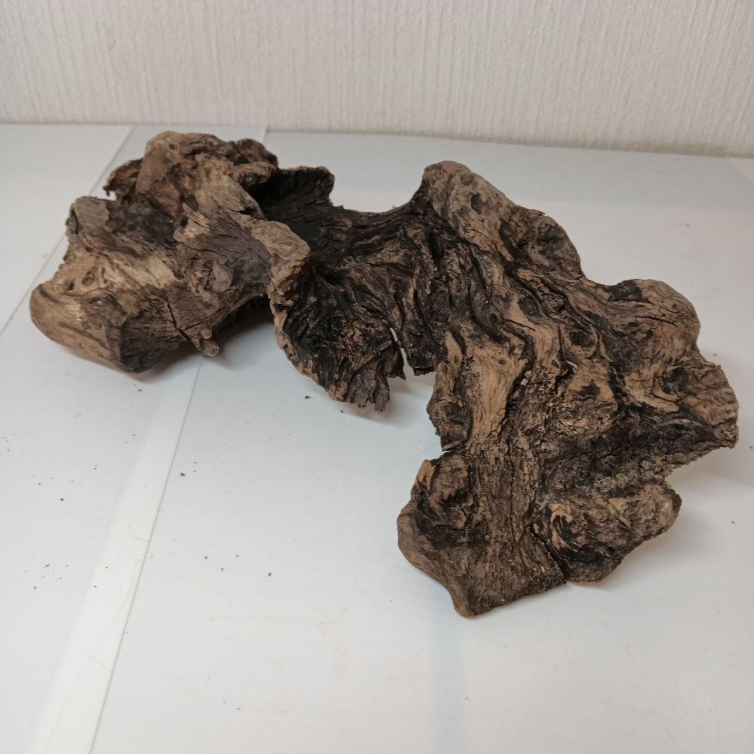 流木535　沈水確認済　アク抜き済　マシンガンウッド　美品　アクアリウム