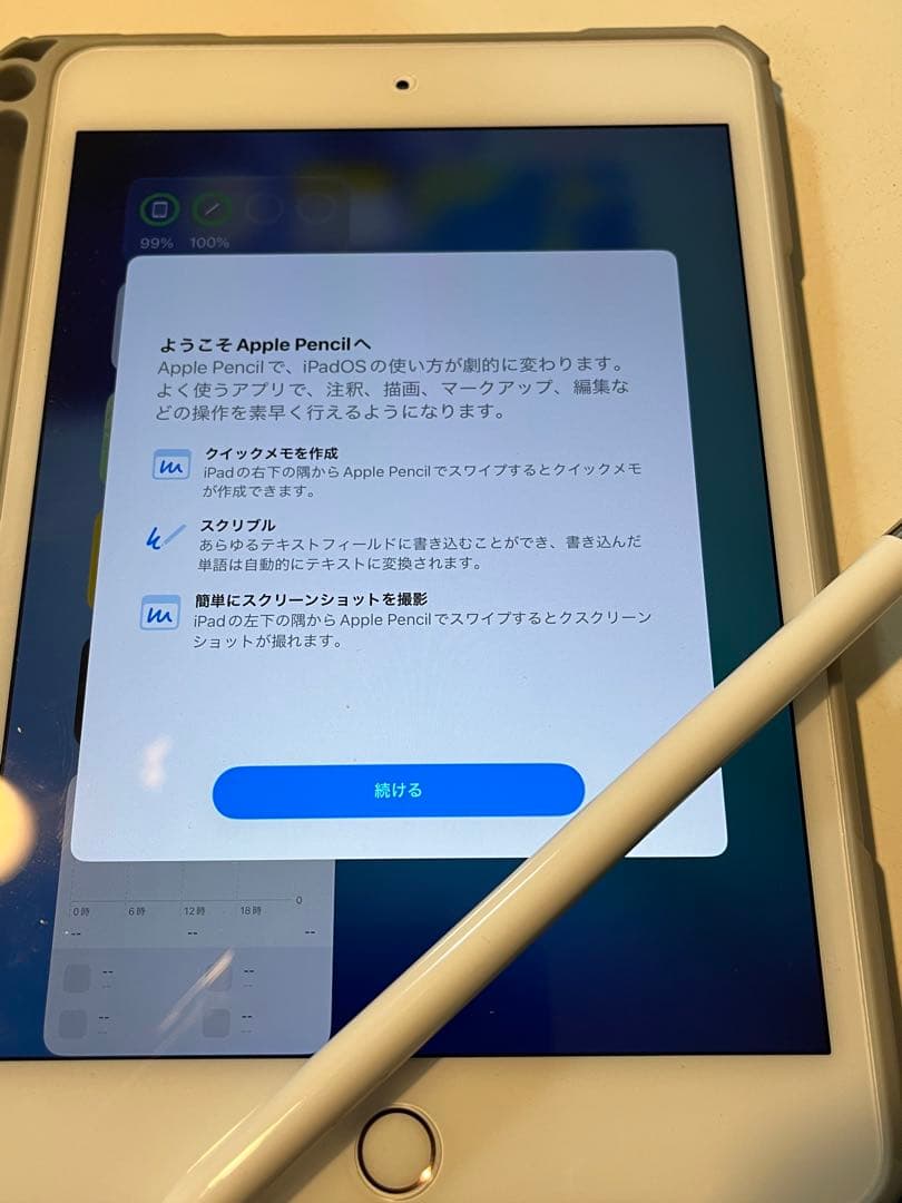 iPad mini 第5世代 保護ケース　apple pencil付き