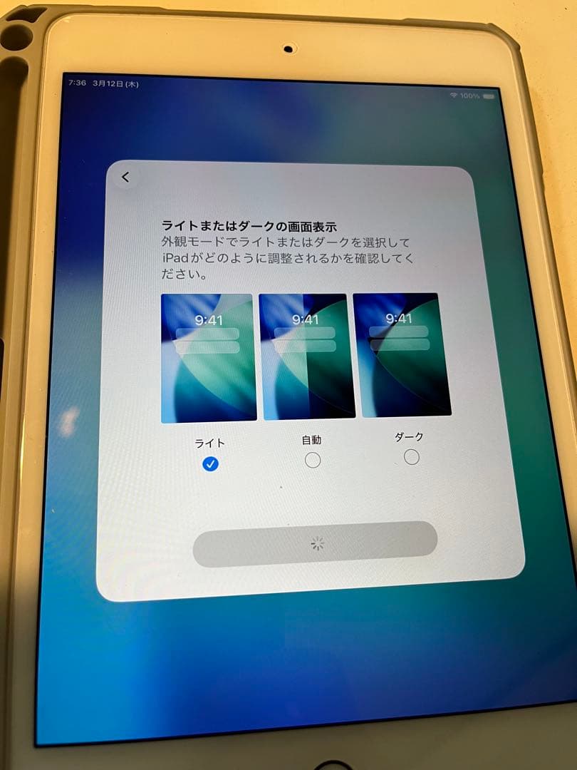 iPad mini 第5世代 保護ケース　apple pencil付き