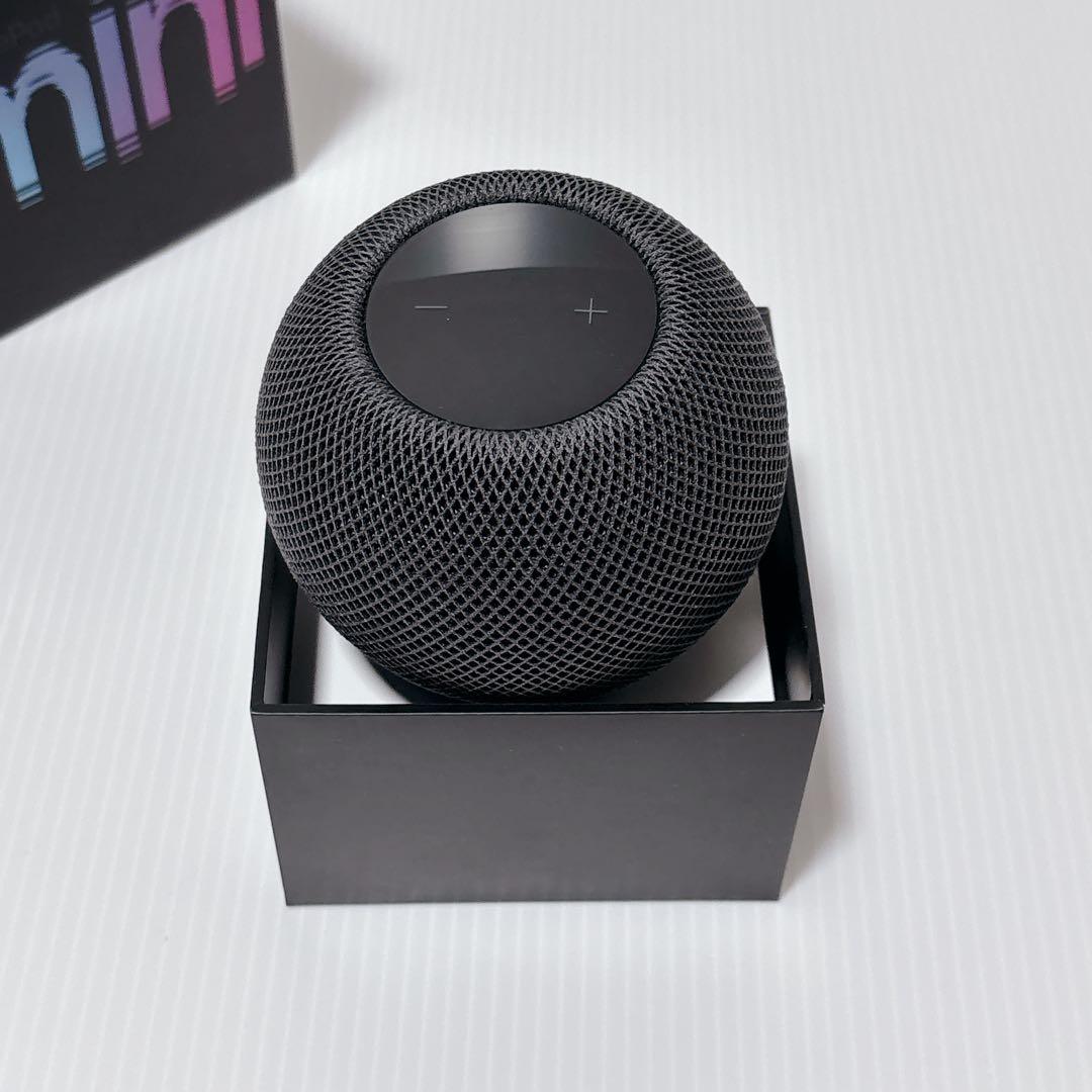 Apple Pod mini スペースグレー MY5G2J/A アップル